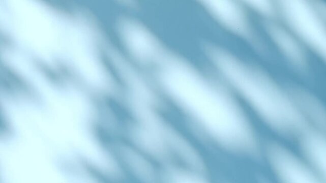 Abstract silhouette shadows of natural leaves tree branch falling on a light blue wall background. Transparent blurry shadow in morning sunlight with copy space for text,4K