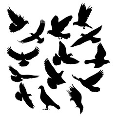 flying dove vector silhouette collection