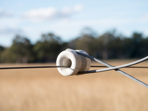 Electric Fence Insulator