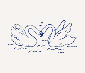 Whimsical hand drawn line art of two elegant swans birds gently swim towards each other. Vector outline illustration