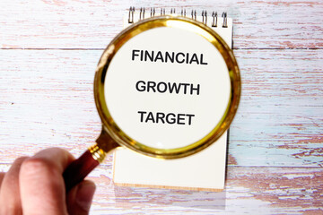 Conceptual text, phrase, words FINANCIAL GROWTH TARGET The concept of development and business,...