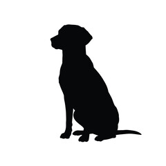 Elegant Dog Silhouette A Classic Canine Image