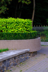 bench in the park
