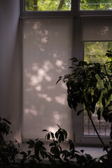 window in the garden