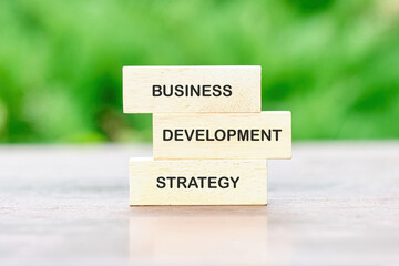 Conceptual text, phrase, words Business Development Strategy The concept of development and...