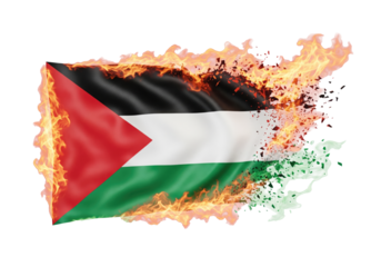 palestine national flag burning, on transparent background