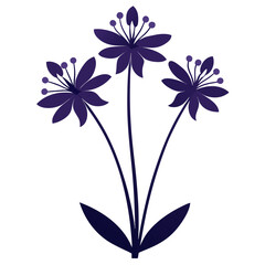 agapanthus-silhouette-on-white-background