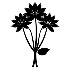 agapanthus-silhouette-on-white-background