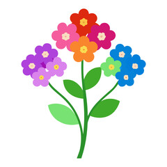 alyssum-colorful-on-white-background