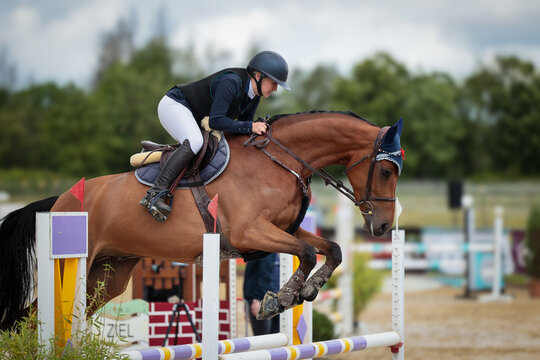 Close-ups of a show jumping horse and rider during a show jumping competition.