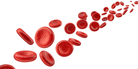 Numerous red blood cells with biconcave disc shape flowing in a stream isolated on a transparent background 1