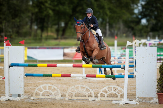 Close-ups of a show jumping horse and rider during a show jumping competition.
