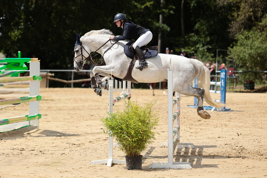 Close-ups of a show jumping horse and rider during a show jumping competition.