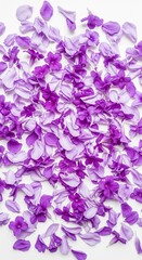 Fototapeta premium Scattered Purple and Lavender Petals on White Background
