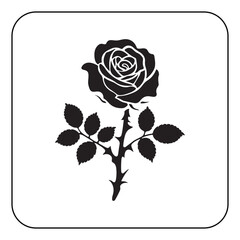 Single rose illustration simple and romantic floral artwork