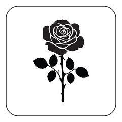 Single rose illustration simple and romantic floral artwork