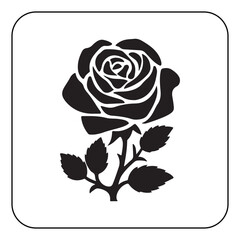 Single rose illustration simple and romantic floral artwork