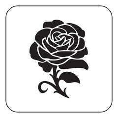 Single rose illustration simple and romantic floral artwork