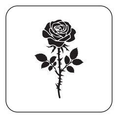 Single rose illustration simple and romantic floral artwork