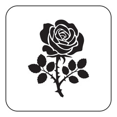 Single rose illustration simple and romantic floral artwork