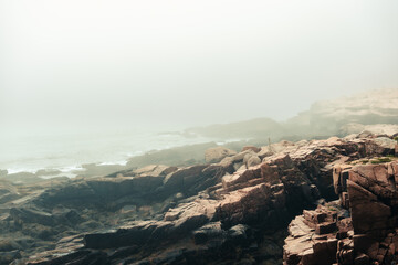 Rocky coastline of Acadia National Park