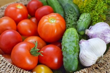 In the basket are tomatoes, cucumbers, garlic, dill. Harvesting in the garden