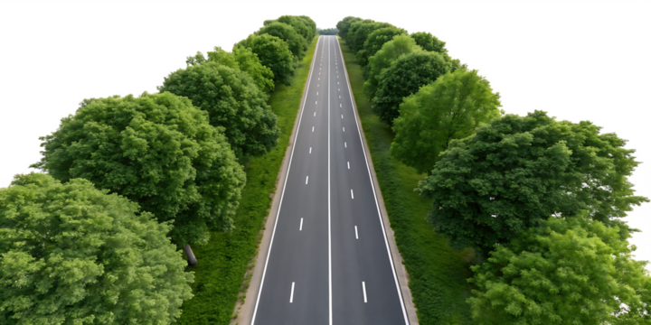 Top down aerial view of a straight two lane asphalt road lined with lush green trees isolated on a transparent background 1