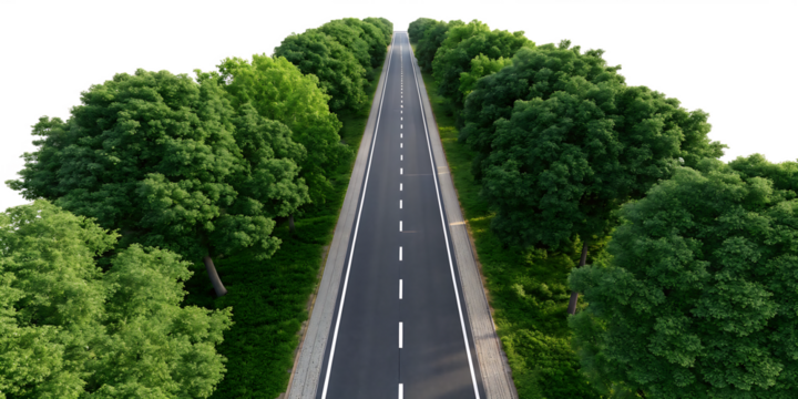 Top down aerial view of a straight two lane asphalt road lined with lush green trees and grass isolated on a transparent background