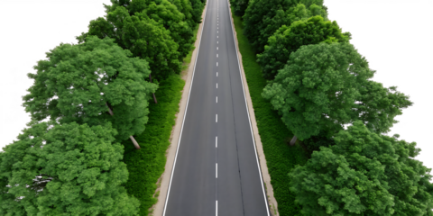 Top down aerial view of a straight two lane asphalt road lined with lush green trees isolated on a transparent background