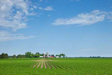 Farm and soybean field in north central Minnesota during the late spring