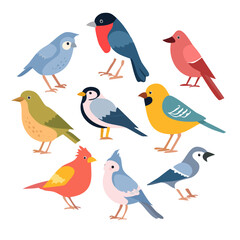 Bird illustration set 鳥 イラスト セット 6