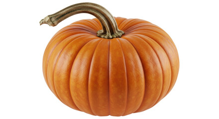 Isolated orange pumpkin