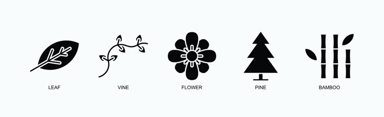 Nature Elegance Icon Set Isolated Vector With Icon Of Leaf, Vine, Flower, Pine, Bamboo In Glyph Style