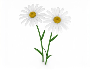 3D rendering. chamomile on a white background