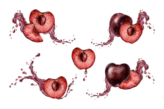 Set of Slice Sweet Cherry fruit with liquid red juice and splashes. Cross section of juicy cherry berry. Isolated hand drawn collection watercolor illustrations for menu, packaging of goods