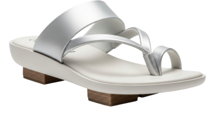 Isolated Silver Sandals