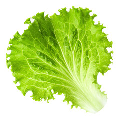 Fresh Green Lettuce Leaf Isolated on Black: Vibrant and Healthy Ingredient for Culinary Delights