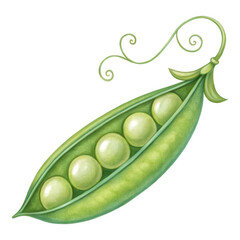 Green pea pod illustration with five peas whimsical tendrils Vegetable
