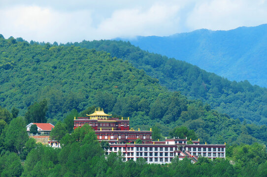 White Gumba, also known as Druk Amitabha Mountain, is a prominent Buddhist monastery perched atop the hills of Nagarjun Municipality in Kathmandu District, Nepal. 