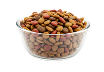 Bowl filled with dry dog food providing balanced nutrition for pets and ensuring a healthy diet for canine companions isolated on white or transparent background. PNG