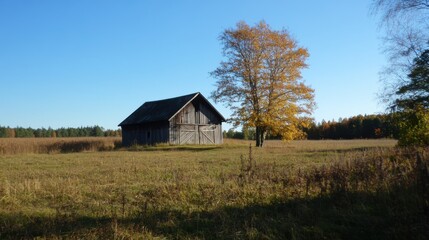 Obraz premium Autumnal Barn in a Tranquil Field.
