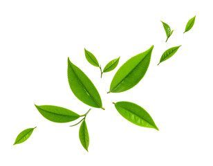 Naklejka premium Tea leaves isolated on transparent background