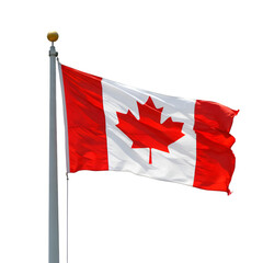 Celebrating Canada Day  A Waving Canadian Flag  isolated on transparent background