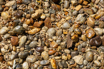 Assortment of colorful river pebbles in sunlight