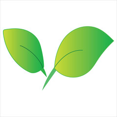 colored green leaf nature illustration icon