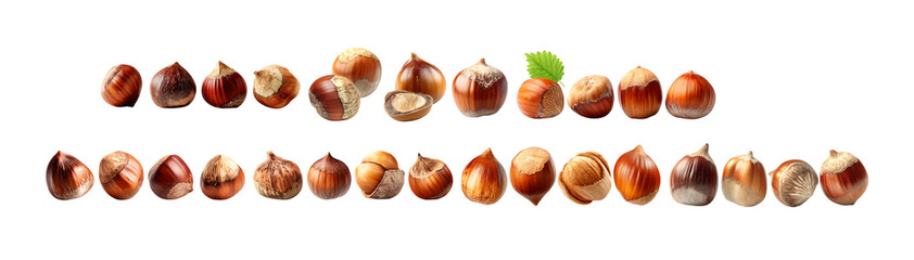 Pack of Collection of Hazelnuts and Chestnuts HighResolution Nut Images for Food Culinary and Nature Projects against transparent Background