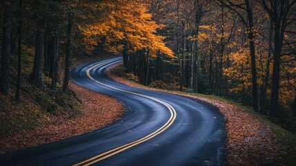 Fototapeta premium Autumn Road Through the Woods.