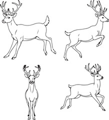Elegant Deer Line Art: Four Poses for Design Projects