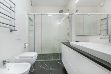 Elegant bathroom design with a walk-in shower and an elegant sink. Bright lighting creates a sense of spaciousness in the room.