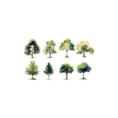 Fototapeta premium Set of Watercolor Trees in Natural Artistic Style Isolated on White Background